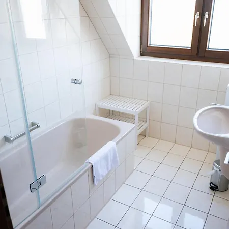 Grosse Galerie-wohnung Für 7 Gäste - Airport Messe Stuttgart - Balkon - Parkplatz Apartment Filderstadt